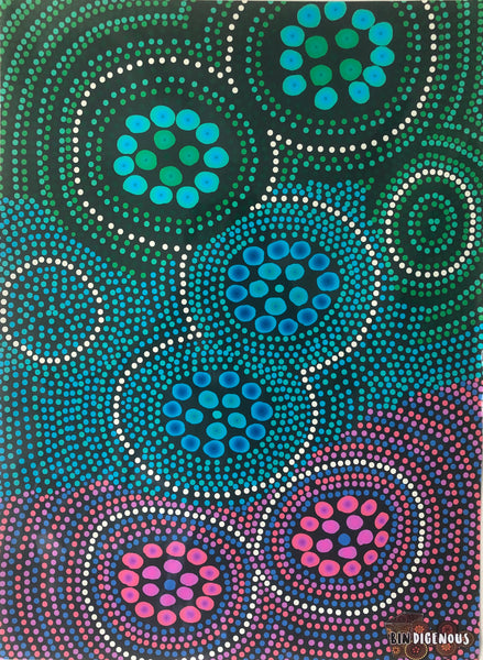 Indigenous Bindigenous -  Australian rainbow bin sticker / bin wrap